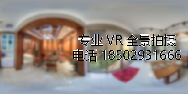 VR全景技術在未來可能的發展方向和應用領域?